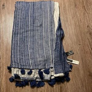 Ann Taylor Blue and White Striped Scarf
